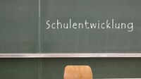Text #1 Transfer in der Schulentwicklung